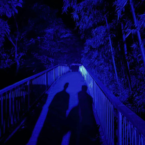 操人妻免费视频
